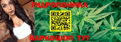 кокс Гагарин