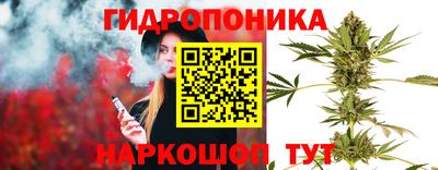 кокс Гагарин