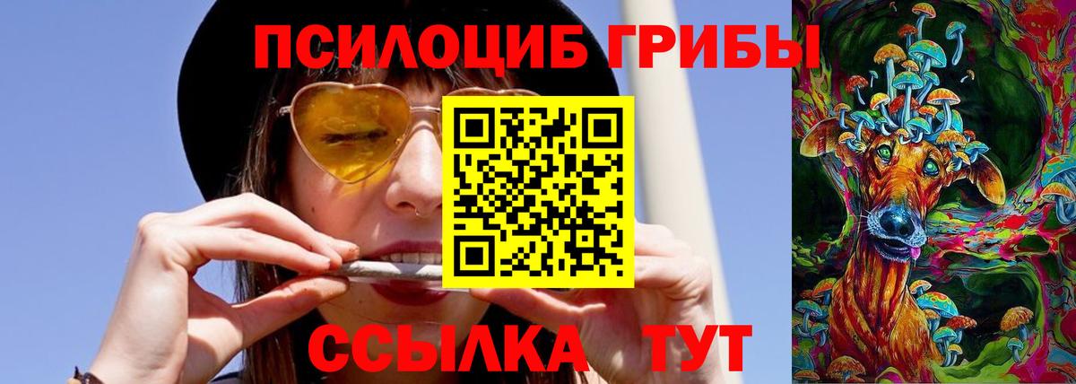 Галлюциногенные грибы Magic Shrooms  Вход с VPN  где можно купить   Можайск 